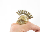 Alexander McQueen Brass Skull Statement Ring - 7