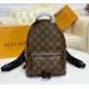 Louis Vuitton Monogram Palm Springs Backpack PM M44871