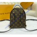 Louis Vuitton Monogram Mini Palm Springs Backpack M44873