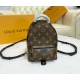 Louis Vuitton Monogram Mini Palm Springs Backpack M44873