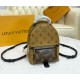Louis Vuitton Monogram Reverse Mini Palm Springs Backpack M44872