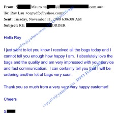 Comment from S. Mauro on November 2008